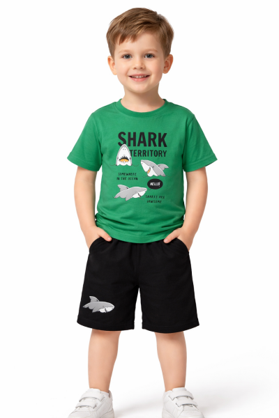 Erkek Çocuk Shark Baskılı 2’li Takım – Yeşil - Siyah