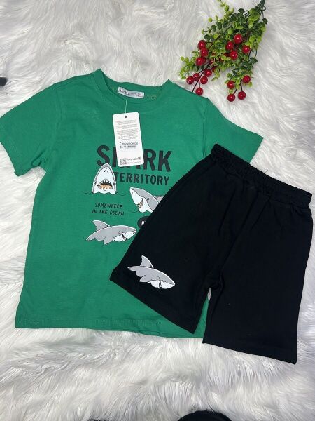 Erkek Çocuk Shark Baskılı 2’li Takım – Yeşil - Siyah