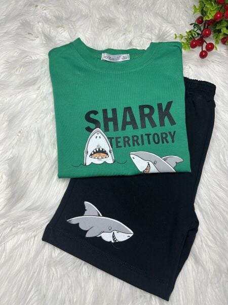 Erkek Çocuk Shark Baskılı 2’li Takım – Yeşil - Siyah
